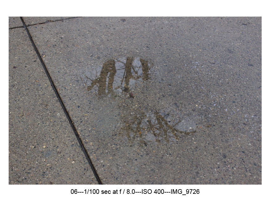 Photography: Reflections