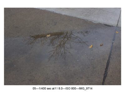 Photography: Reflections