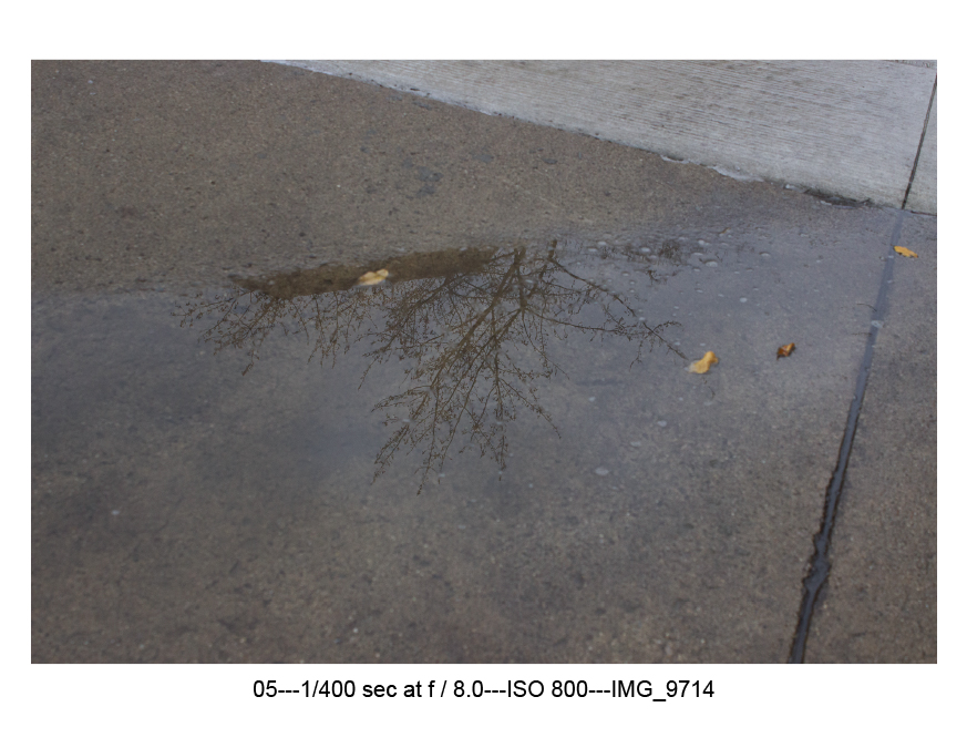 Photography: Reflections