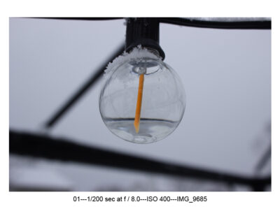 Photography: Reflections